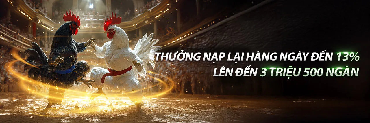 Đá Gà Trực Tuyến HV88 Chính Thức