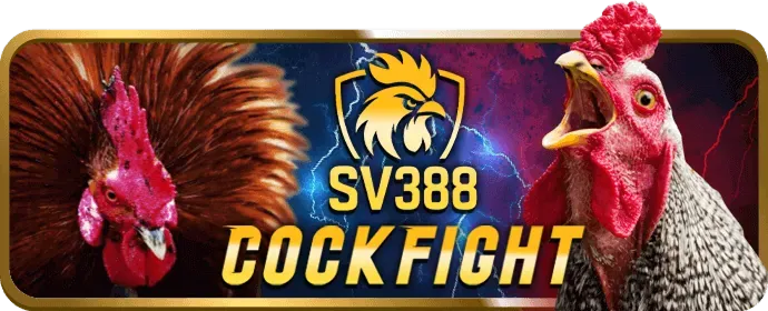 Chơi công bằng hv88 chính thức